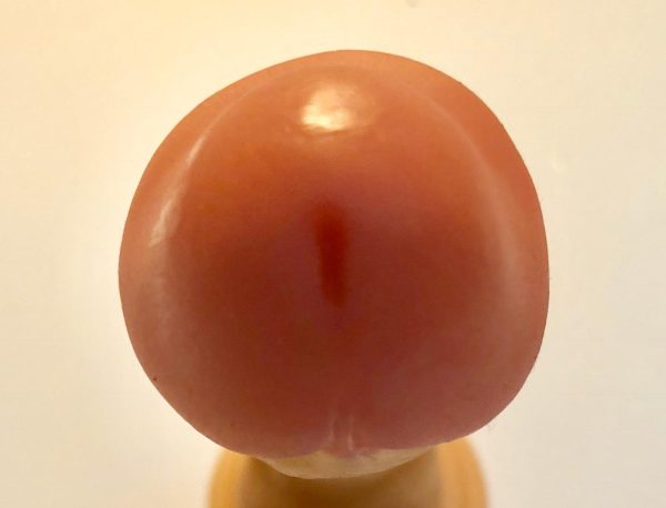 Dildo realista con base chupa - Imagen 3